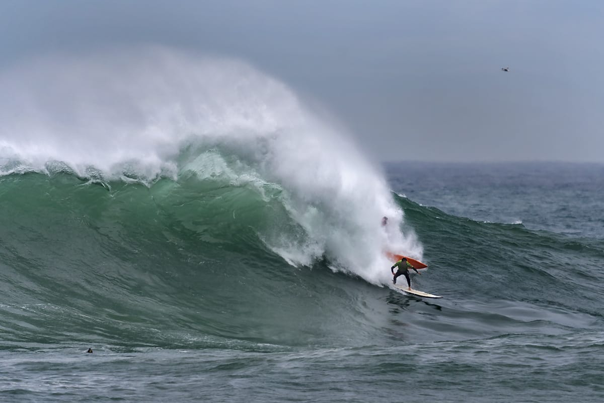La Vaca Gigante 2022-foto juanjo ruiz cisneros