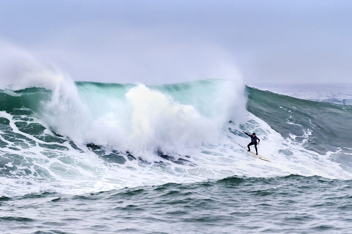 La Vaca Gigante 2022-foto juanjo ruiz cisneros